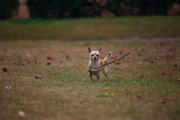 What Are the Long-Term Implications of Recent UK Government Policies?